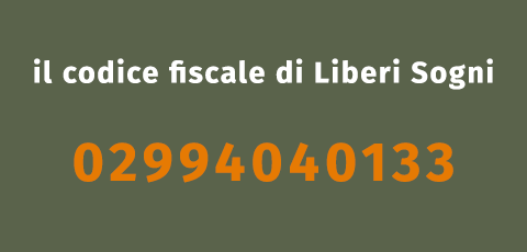 Codice Fiscale 02994040133