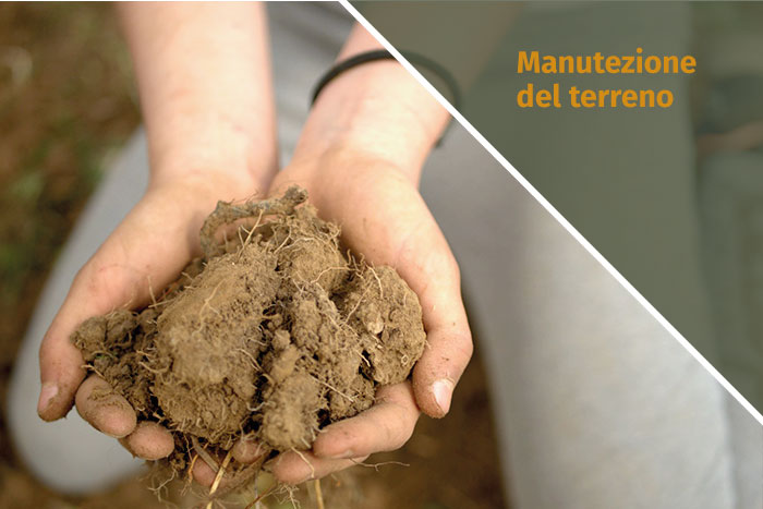 Manutenzione del terreno